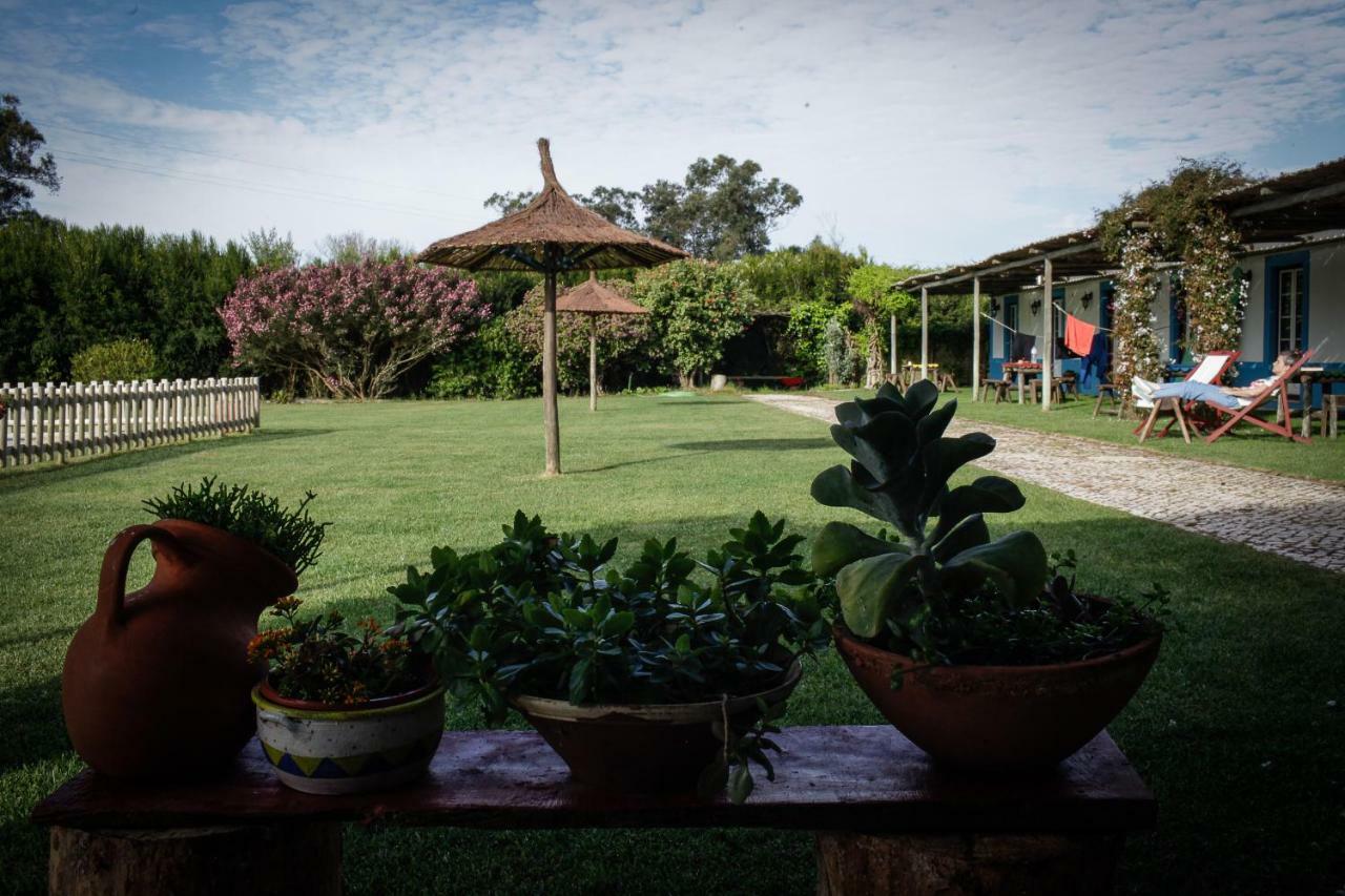 Casa Da Seiceira Casa de hóspedes São Teotónio Exterior foto